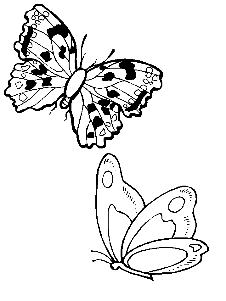 Coloriage 63 Papillons