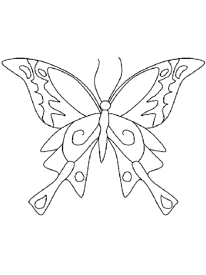 Coloriage 68 Papillons