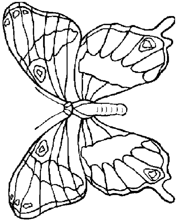 Coloriage 72 Papillons