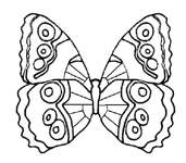 Coloriage Papillons 110