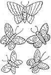 Coloriage Papillons 118