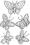Coloriage Papillons 42