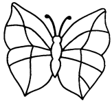 Coloriage Papillons 45