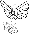 Coloriage Papillons 62