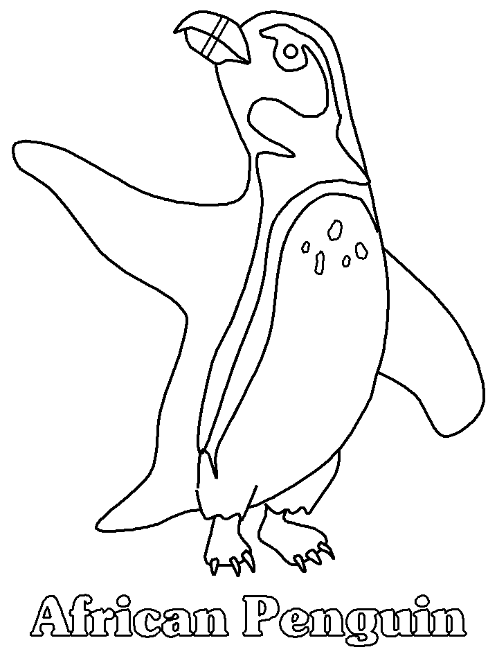 Coloriage 29 Penguins