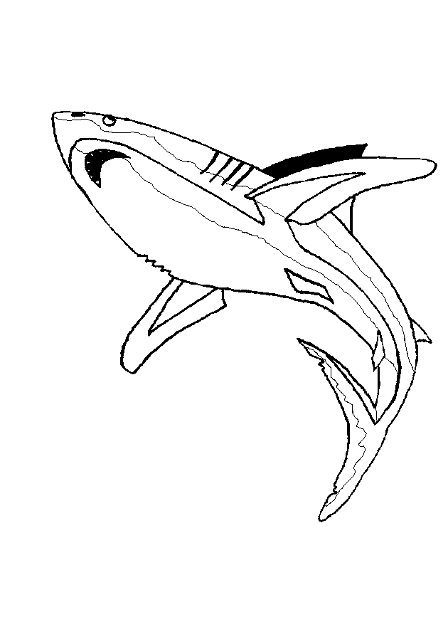 Coloriage 19 Requins