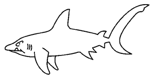 Coloriage Requins 4