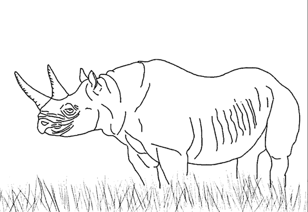 Coloriage 10 Rhinos