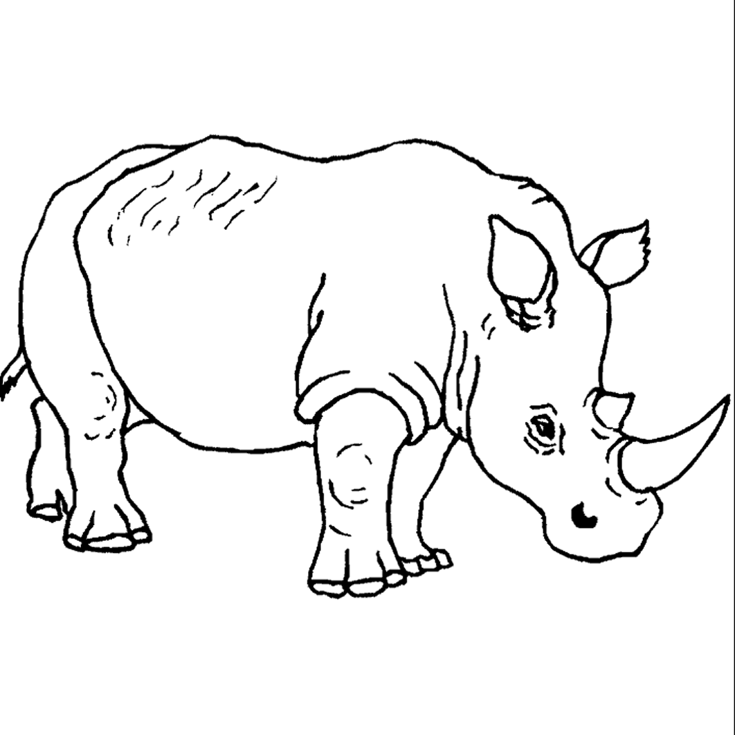 Coloriage 7 Rhinos