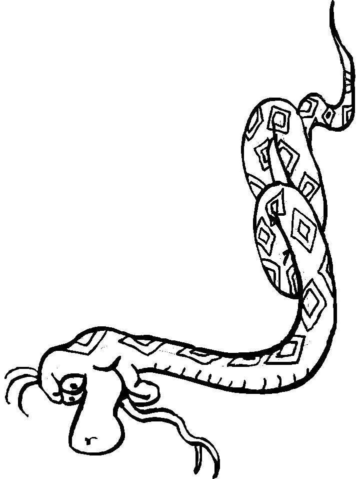Coloriage 36 Serpents