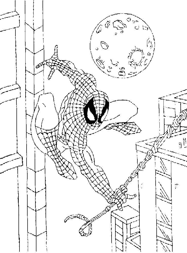 Coloriage 11 Spiderman