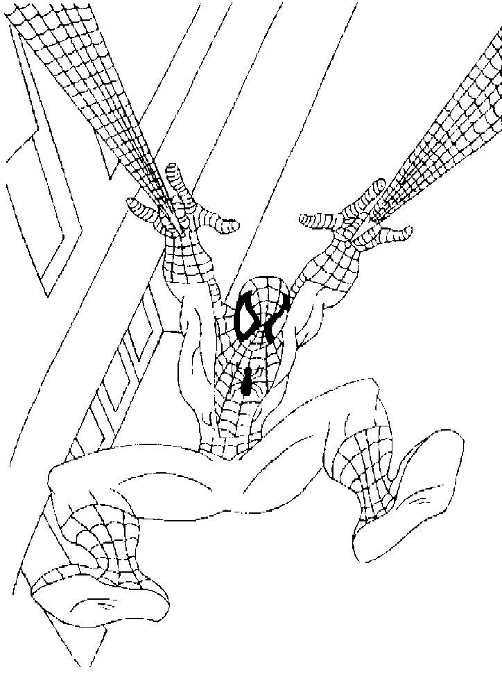 Coloriage 13 Spiderman