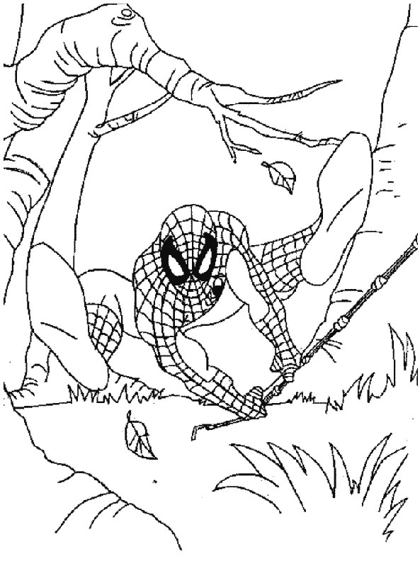 Coloriage 156 Spiderman