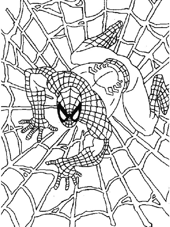 Coloriage 29 Spiderman