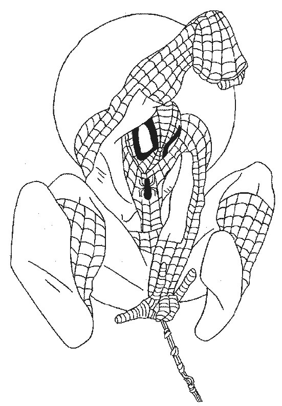 Coloriage 34 Spiderman