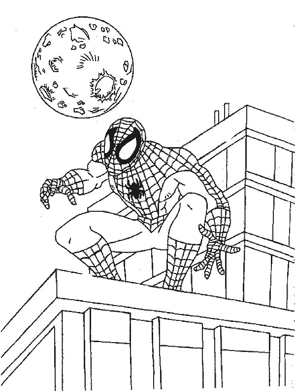 Coloriage 48 Spiderman