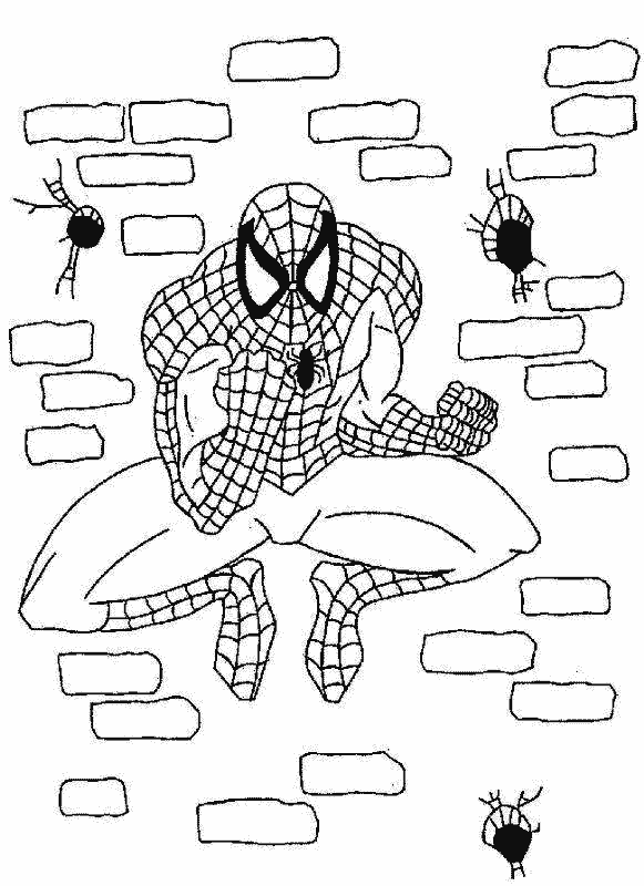 Coloriage 5 Spiderman