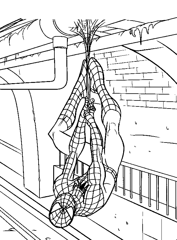 Coloriage 54 Spiderman
