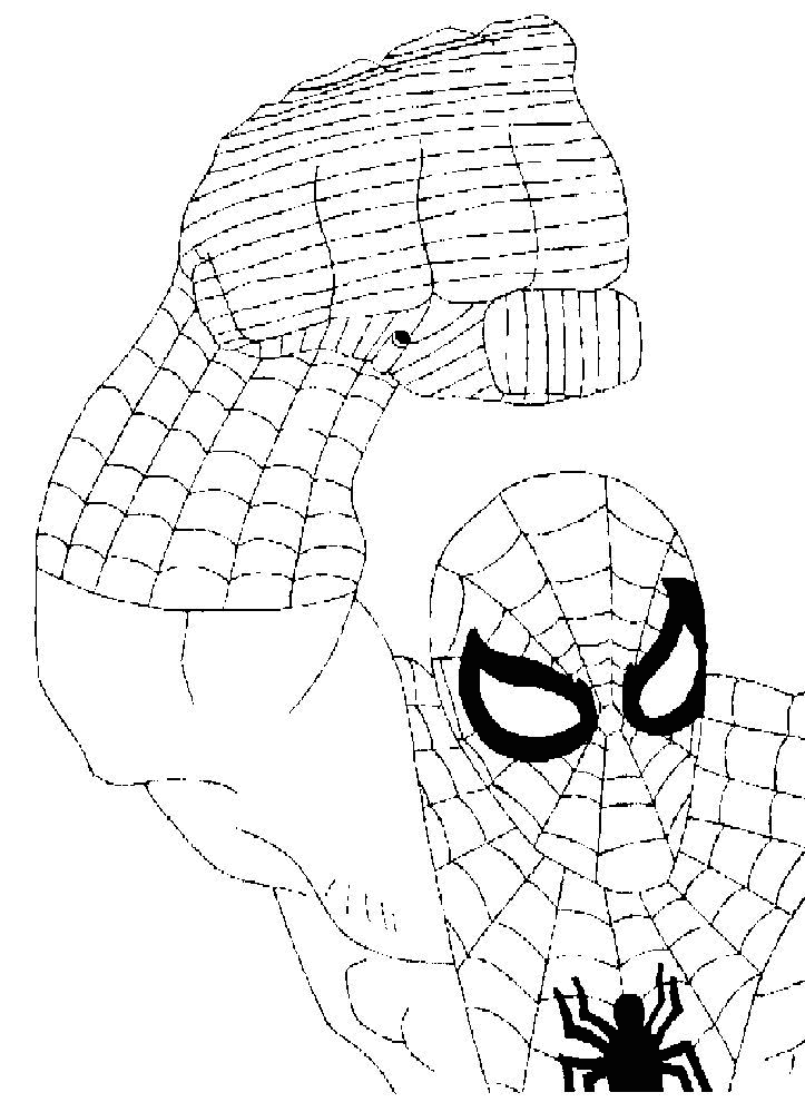 Coloriage 8 Spiderman