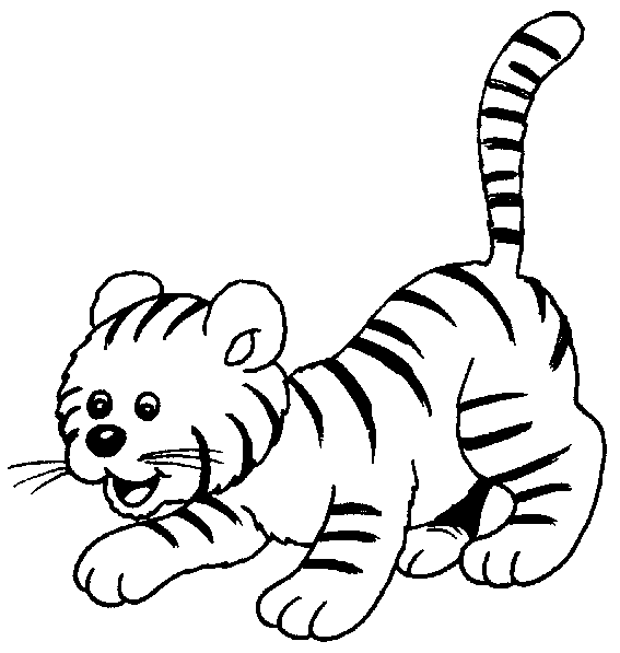 Coloriage 11 Tigres