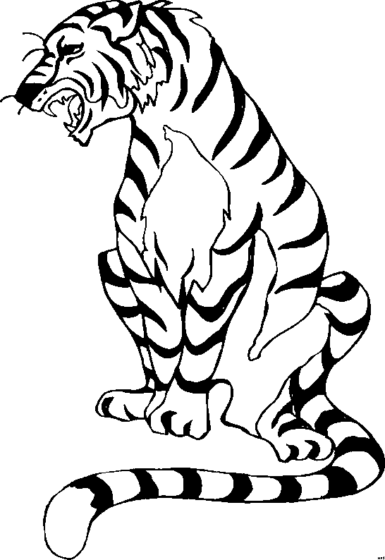 Coloriage 16 Tigres