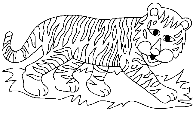 Coloriage 3 Tigres