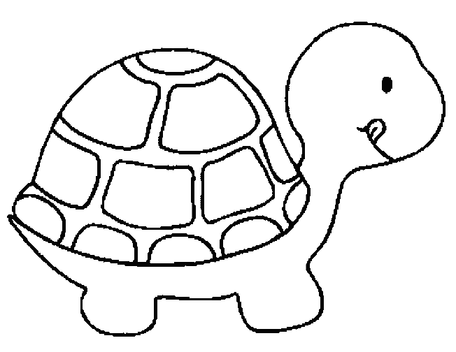 Coloriage 11 Tortues