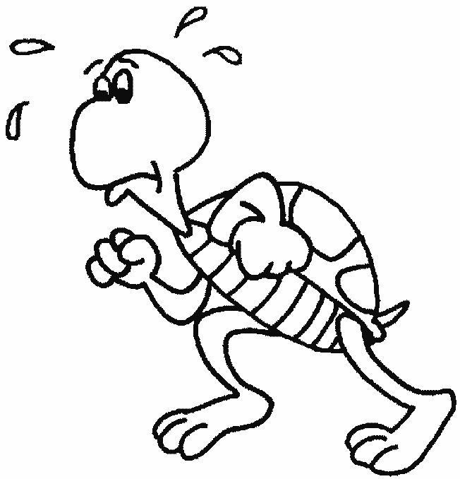 Coloriage 12 Tortues