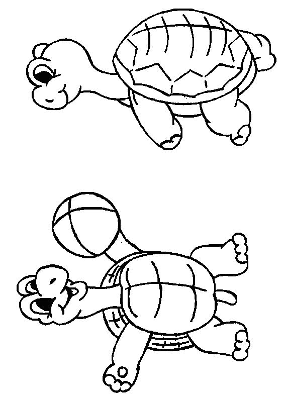 Coloriage 16 Tortues