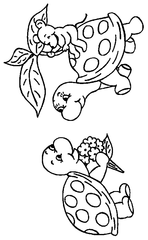 Coloriage 17 Tortues