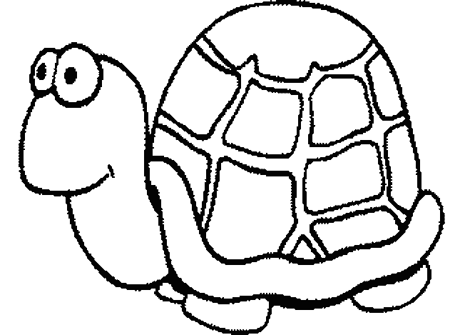Coloriage 19 Tortues