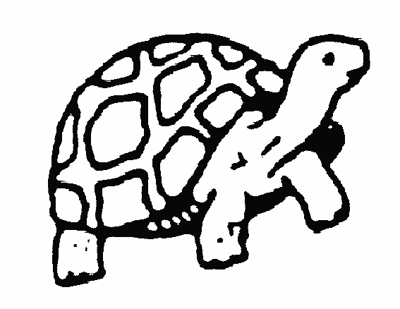 Coloriage 22 Tortues