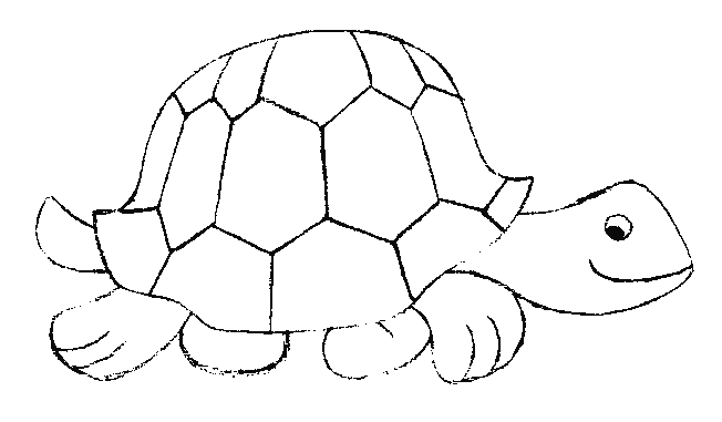 Coloriage 24 Tortues