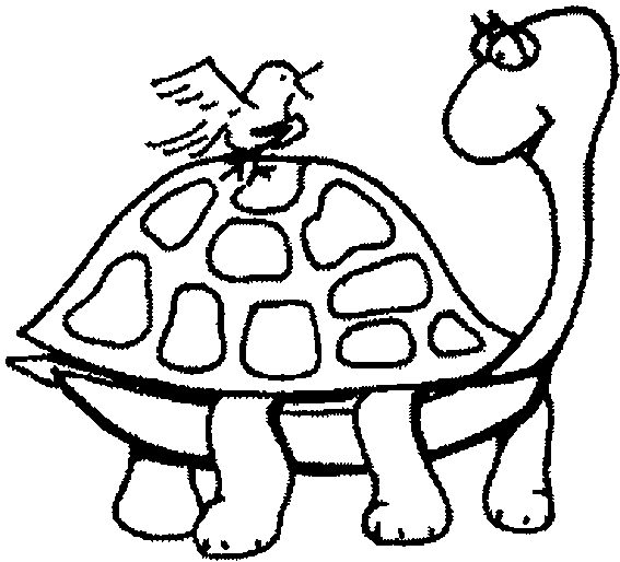 Coloriage 30 Tortues