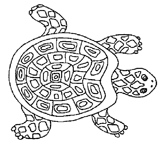 Coloriage 31 Tortues