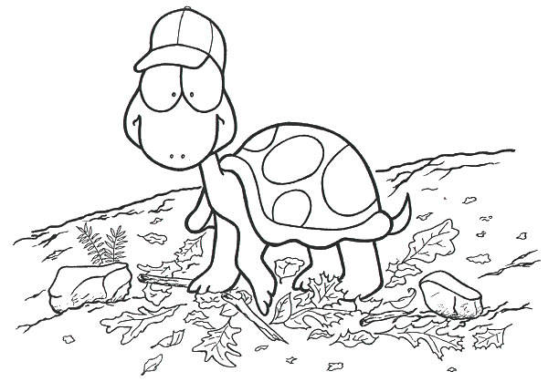 Coloriage 35 Tortues