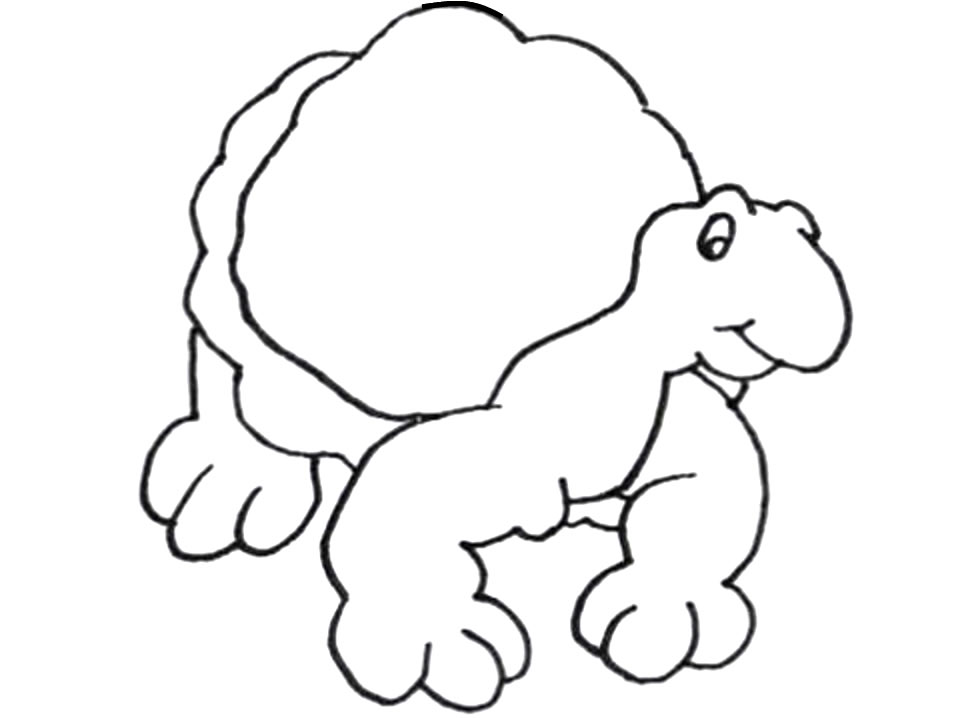Coloriage 38 Tortues