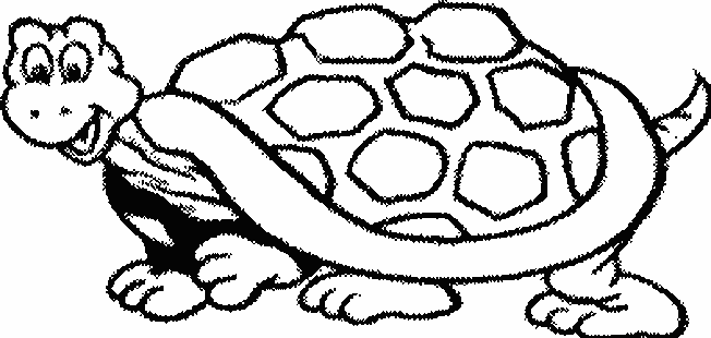 Coloriage 5 Tortues