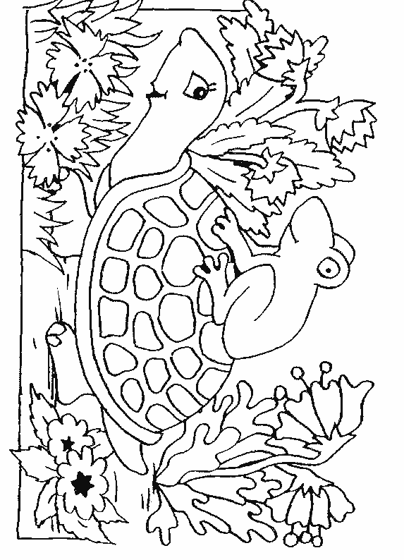 Coloriage 9 Tortues