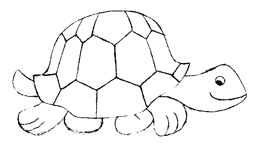 Coloriage Tortues 24