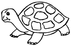 Coloriage Tortues 26