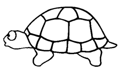 Coloriage Tortues 27