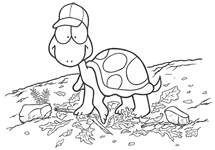 Coloriage Tortues 35