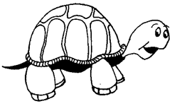 Coloriage Tortues 37