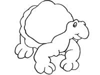 Coloriage Tortues 38