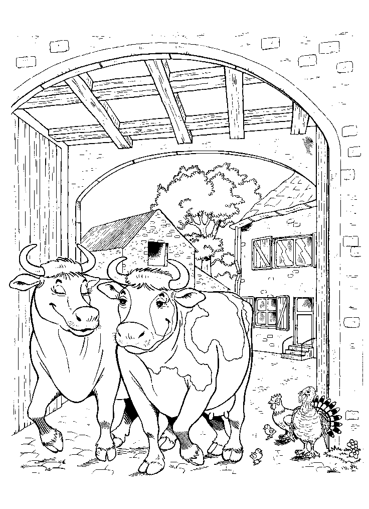 Coloriage 25 Vaches