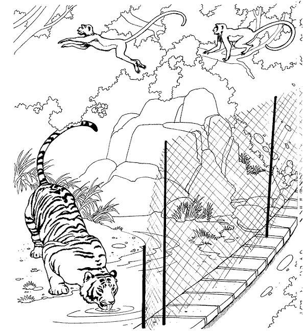 Coloriage 10 Zoo