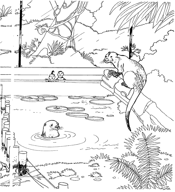 Coloriage Zoo 15
