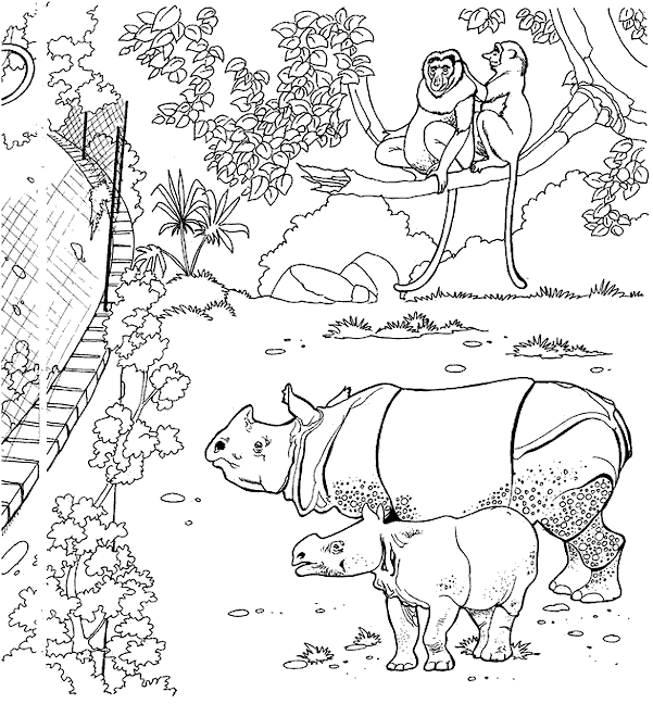 Coloriage 18 Zoo