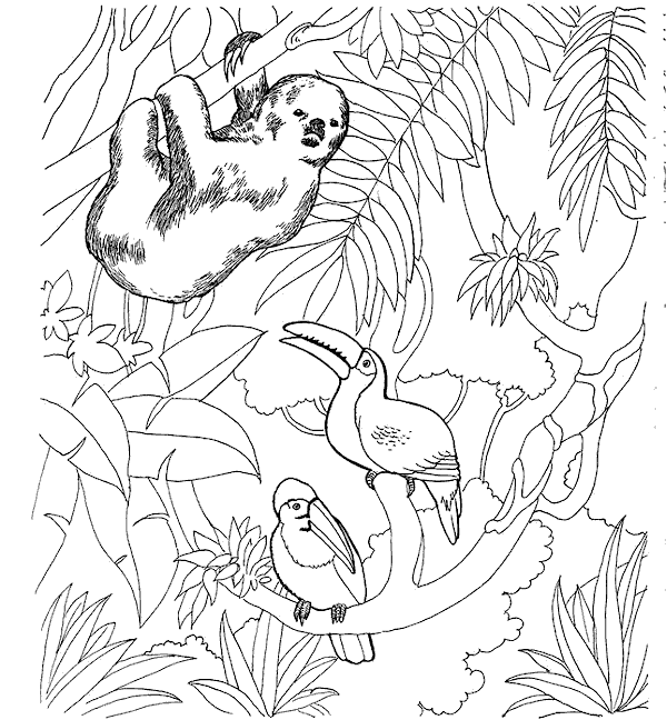 Coloriage 20 Zoo